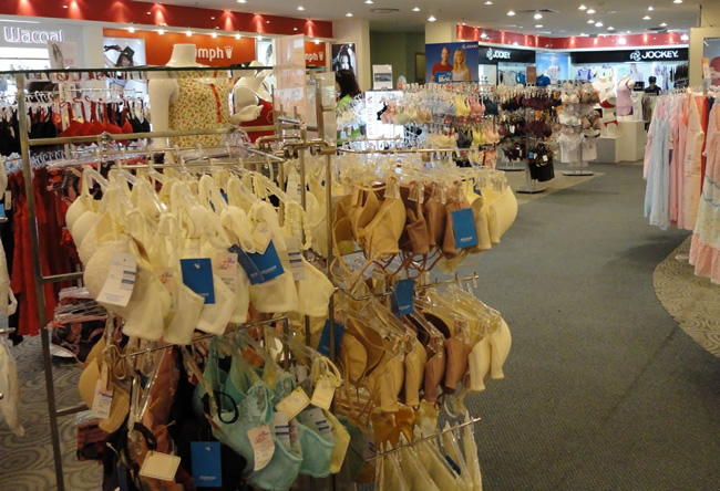 The Lingerie Section